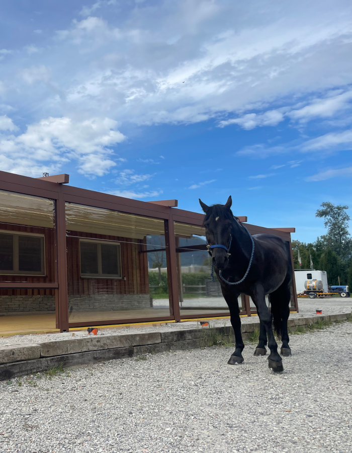 Pergola KE Tetto Inclinato